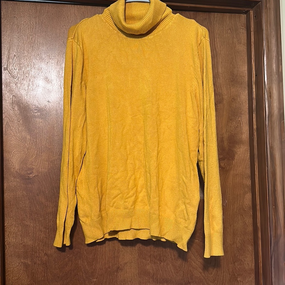 Joseph A gold turtle neck shirt.